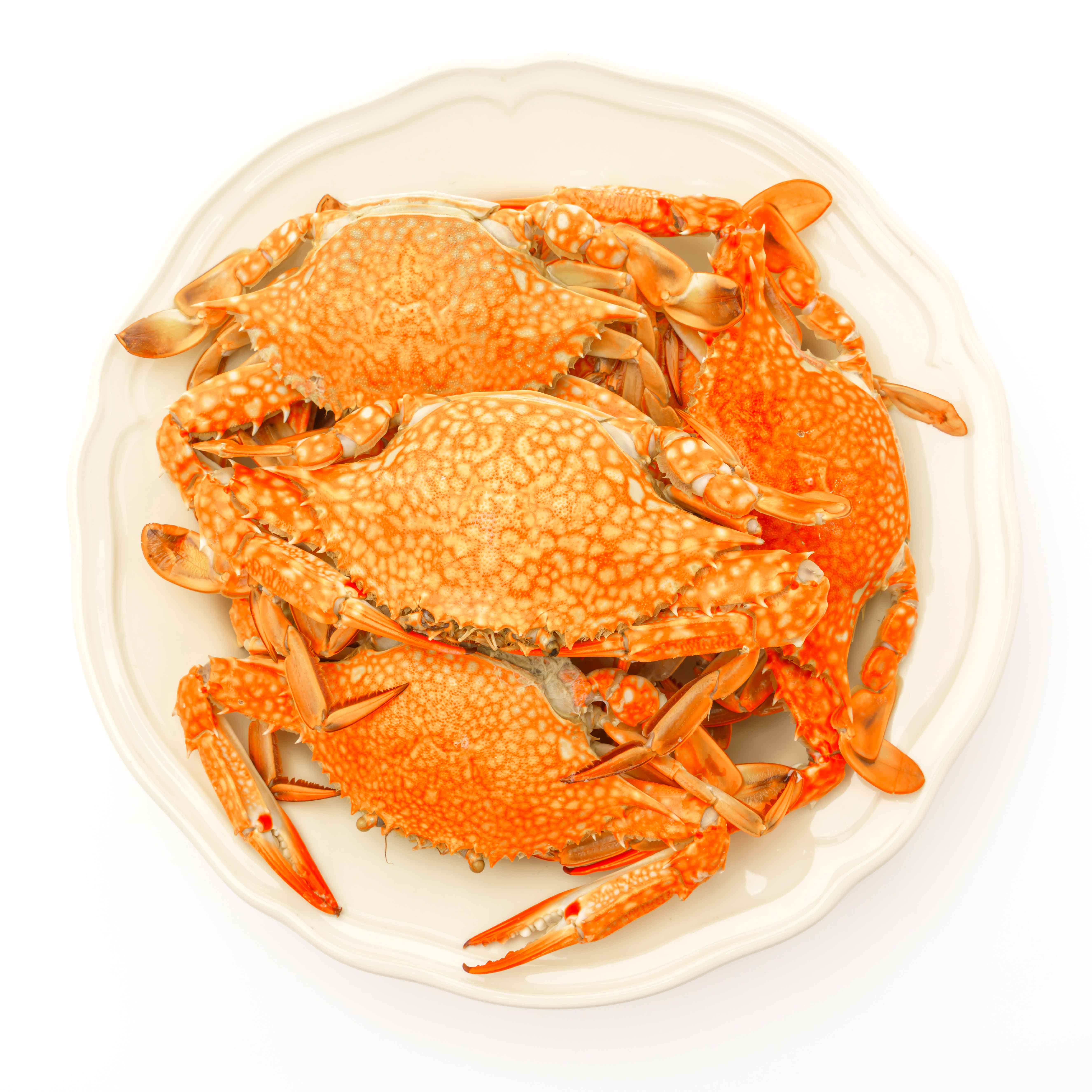 Jaradah Fish Blue Swimming Cooked Crab